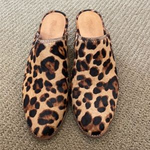 Leopard mules from Madewell size 7